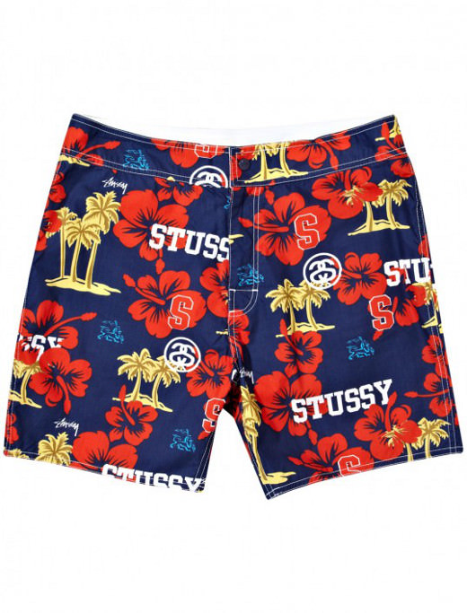 Stussy Shorts 2