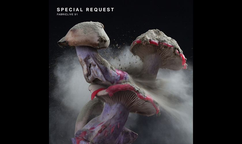 special-request-fabriclive-91